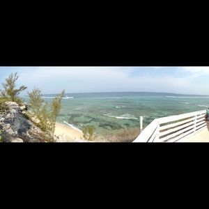 Meet your Posher, Chelsea